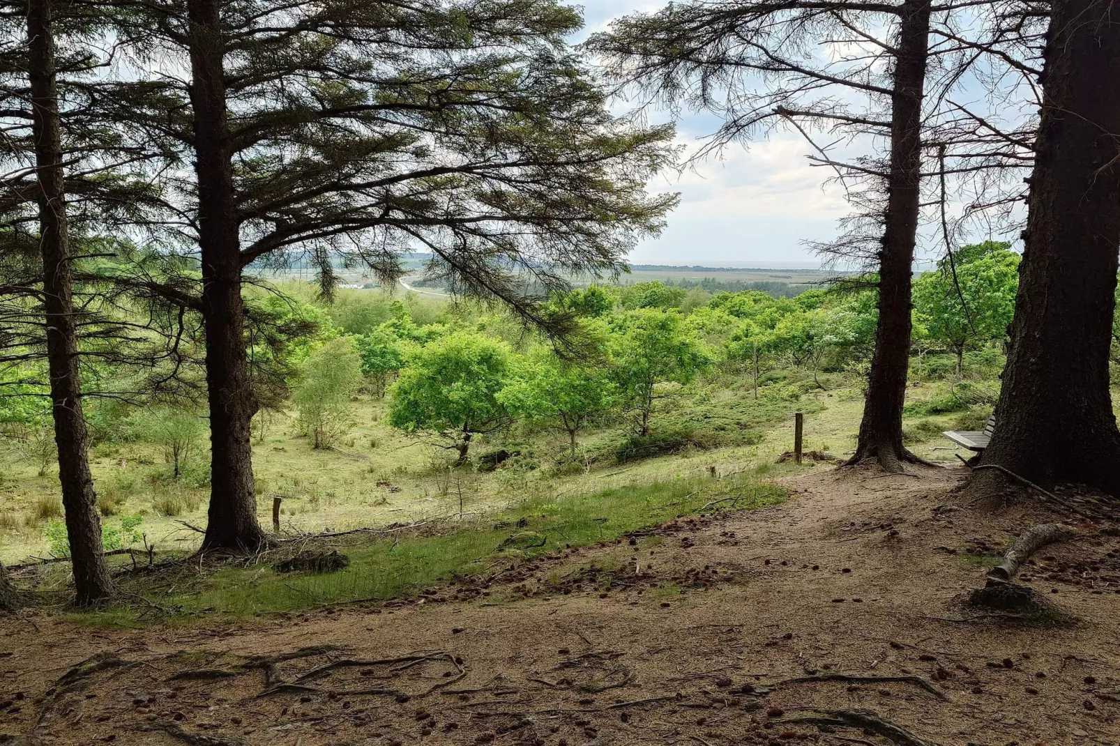 16 persoons vakantie huis in Brovst-By Traum