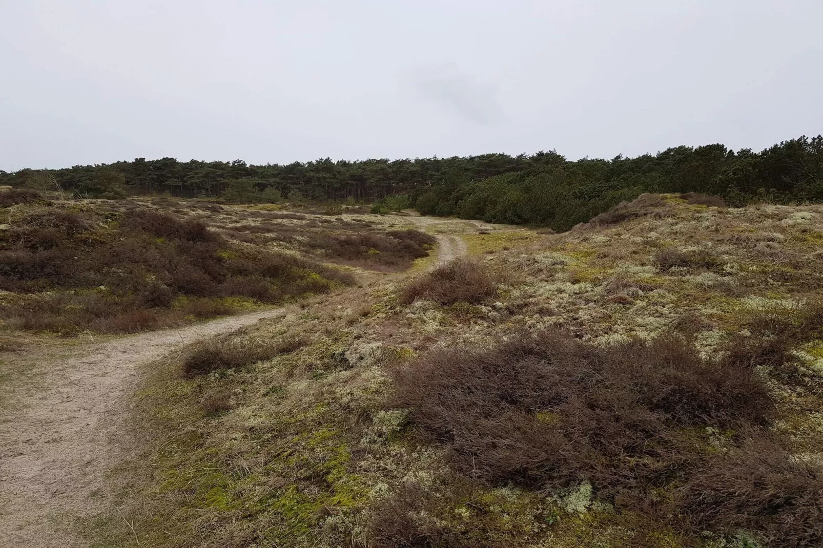 4 persoons vakantie huis in Fanø-By Traum-Niet-getagd