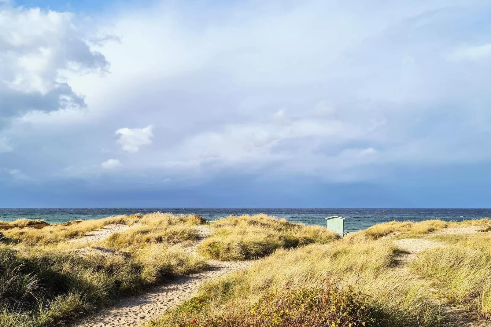 6 persoons vakantie huis in Frederiksværk-By Traum