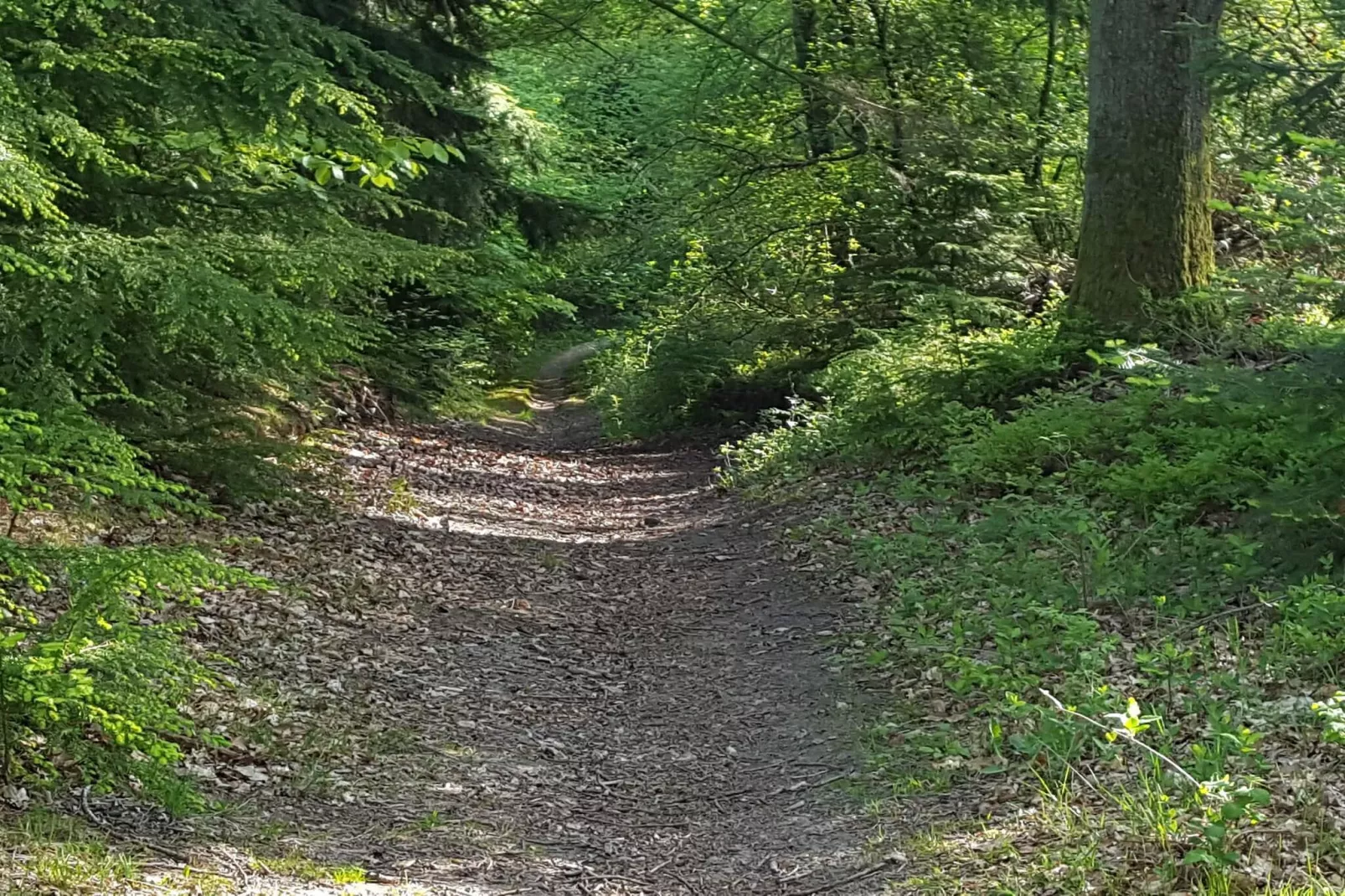 Gezinsvriendelijk huis aan het strand