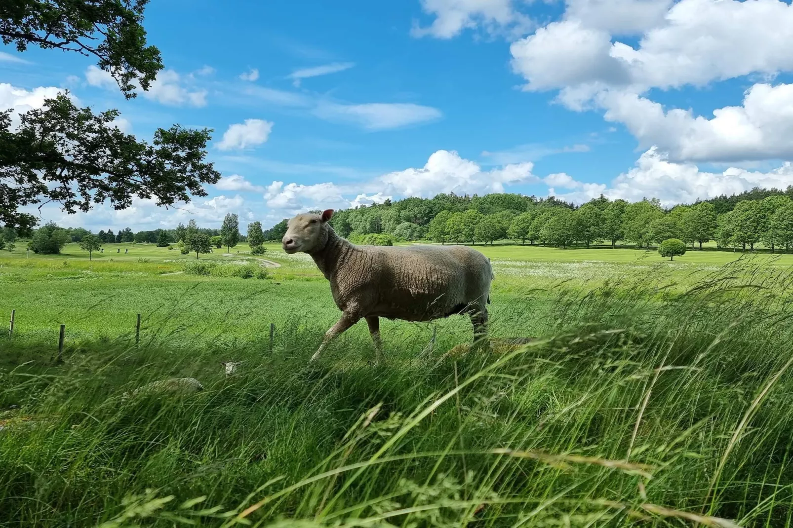 4 persoons vakantie huis in TORSHÄLLA-By Traum