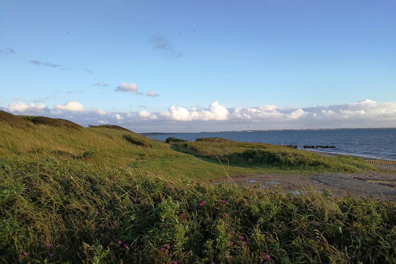 11 persoons vakantie huis in Vinderup-By Traum-Niet-getagd