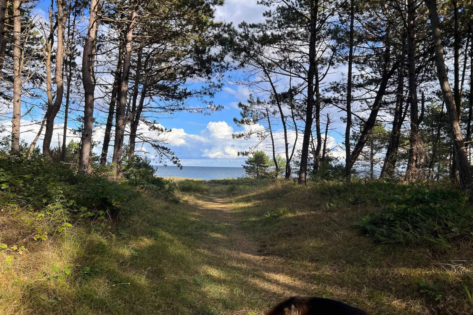 Luxe zwembad retraite in Ebeltoft -- By Traum Ferienwohnungen