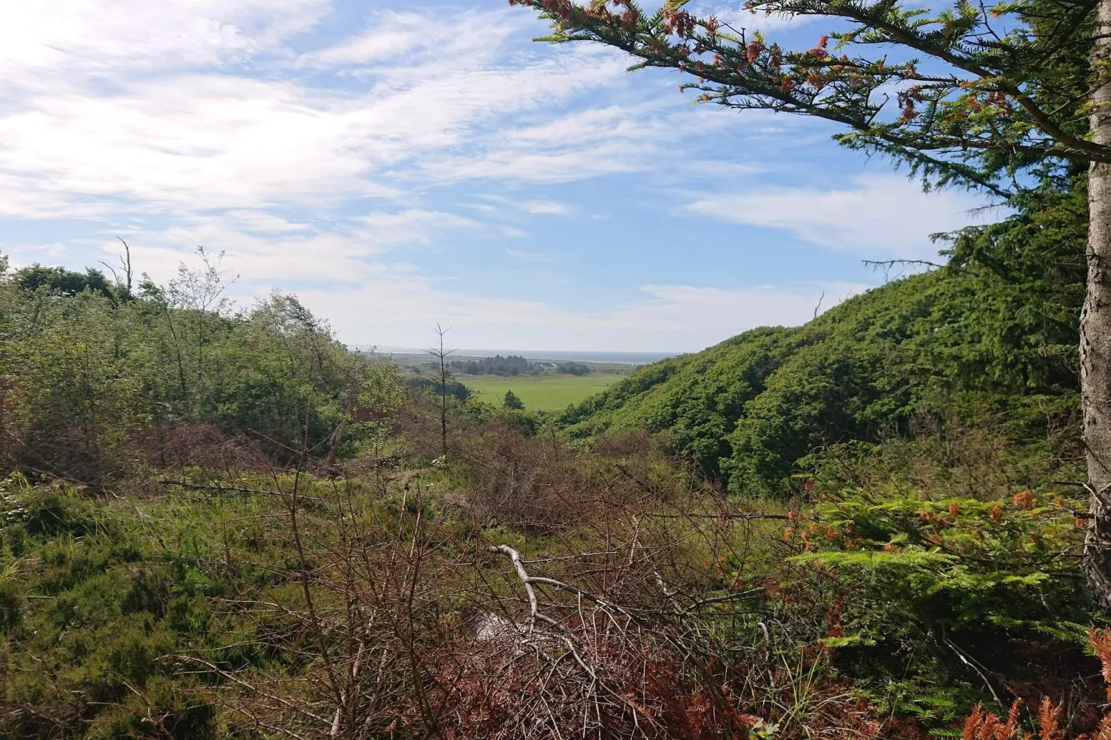 6 persoons vakantie huis in Brovst-By Traum-Niet-getagd