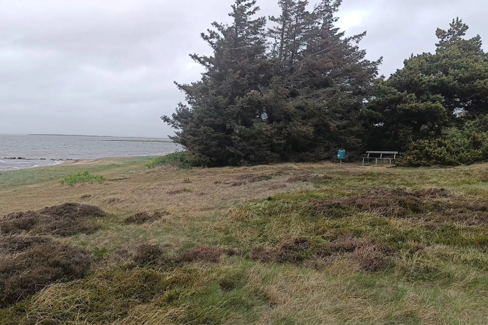 5 persoons vakantie huis in Tarm-By Traum