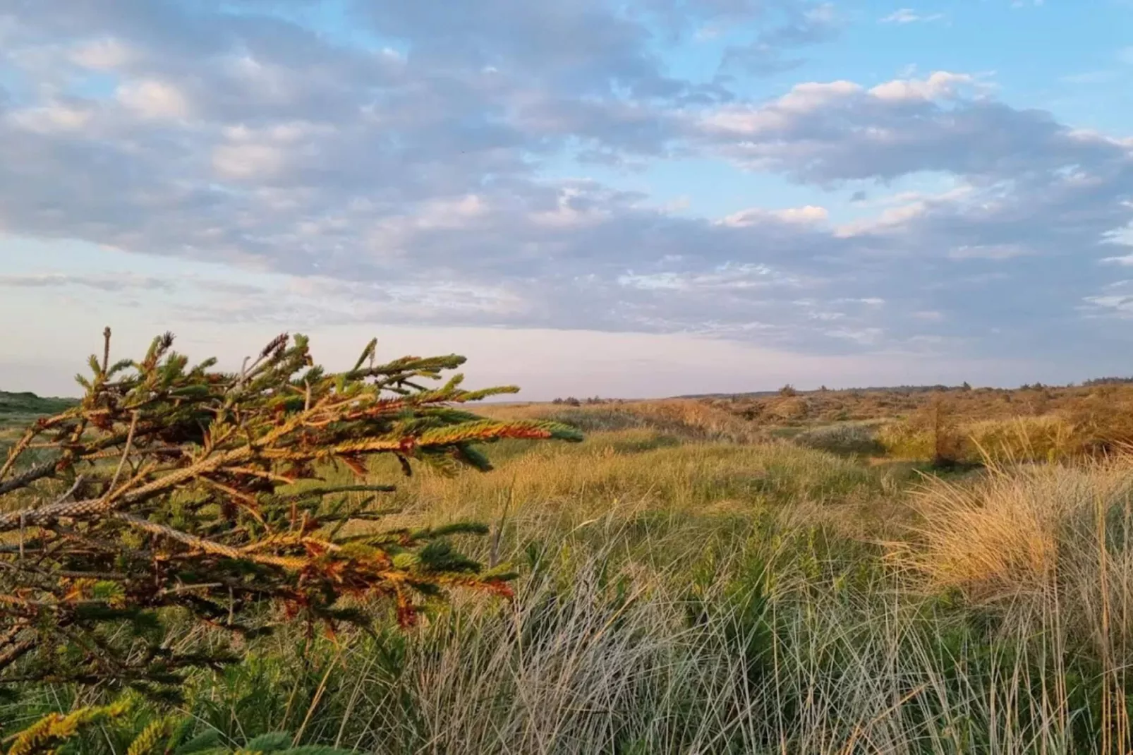 12 persoons vakantie huis in Thisted-By Traum