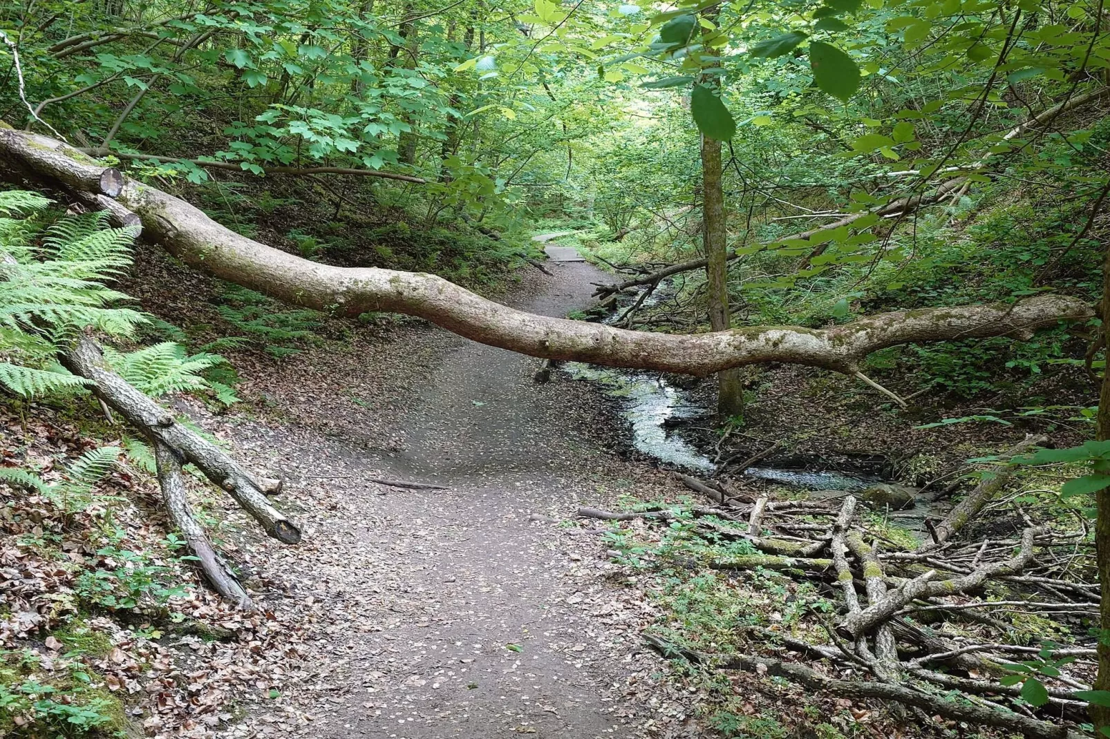 8 persoons vakantie huis in Brovst-By Traum-Niet-getagd