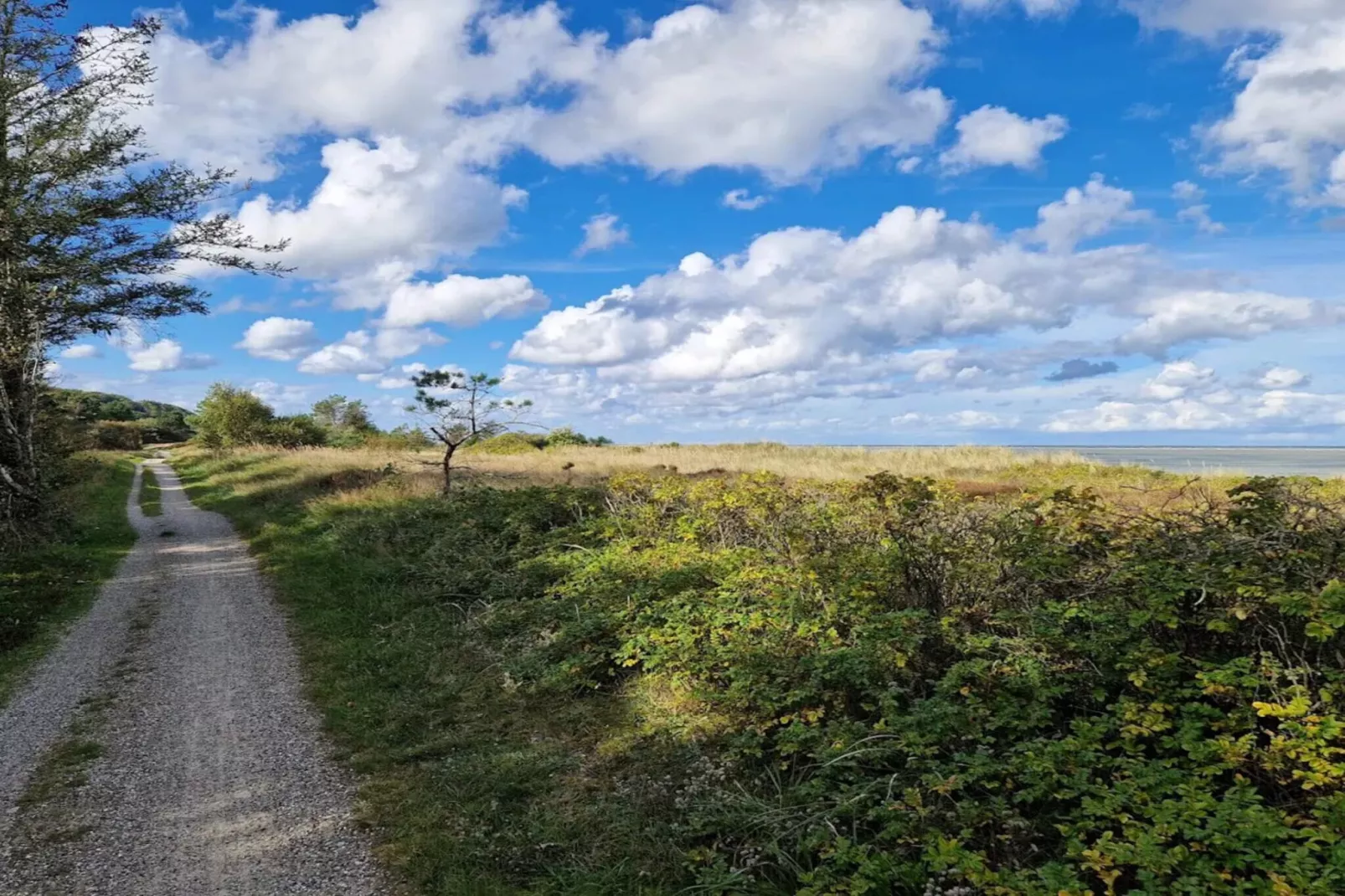 8 persoons vakantie huis in Grenaa-By Traum