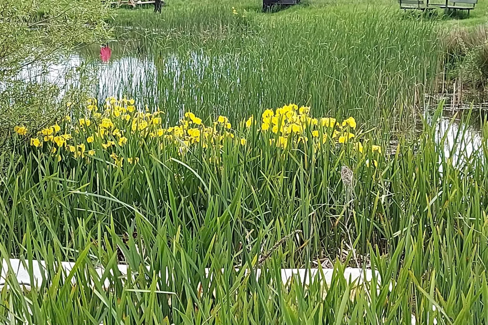 6 persoons vakantie huis in Humble-By Traum