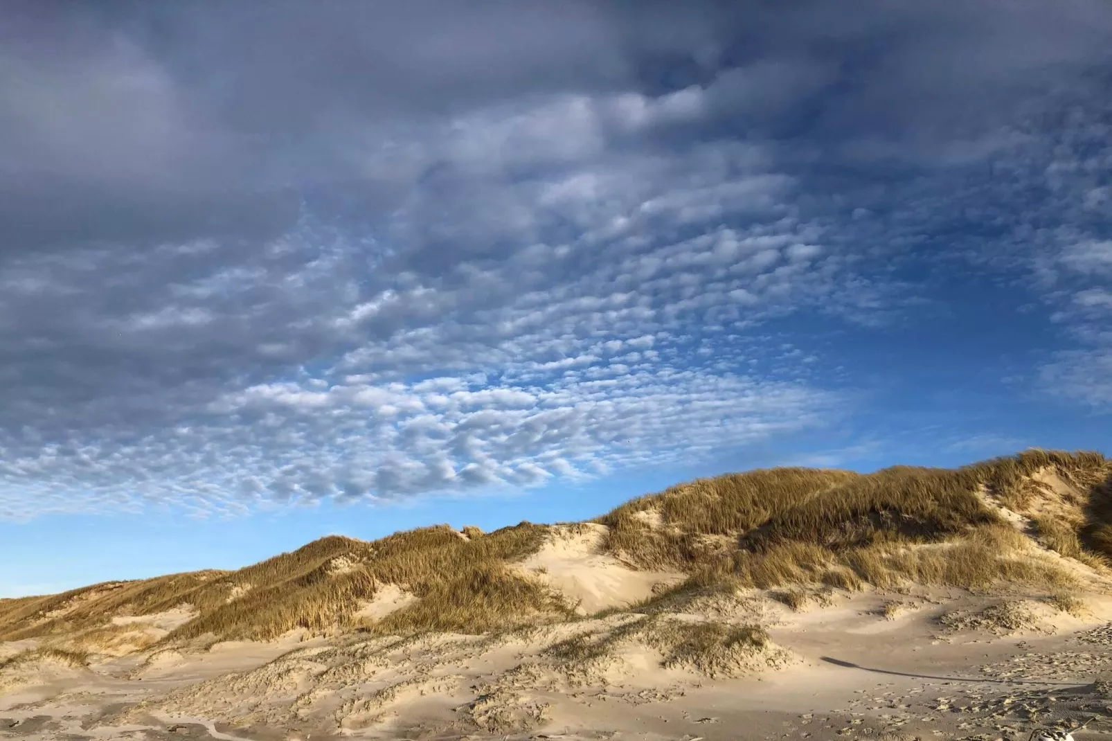 6 persoons vakantie huis in Vejers Strand-Niet-getagd