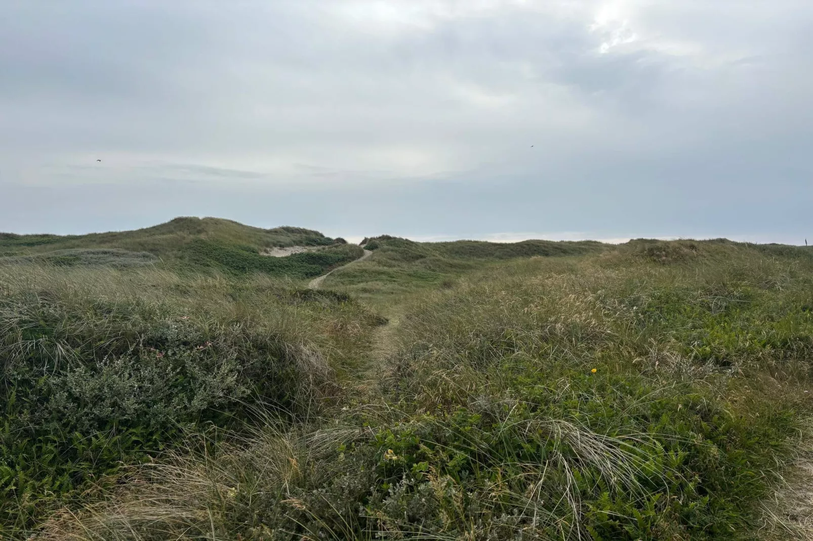 6 persoons vakantie huis in Hvide Sande-By Traum-Niet-getagd