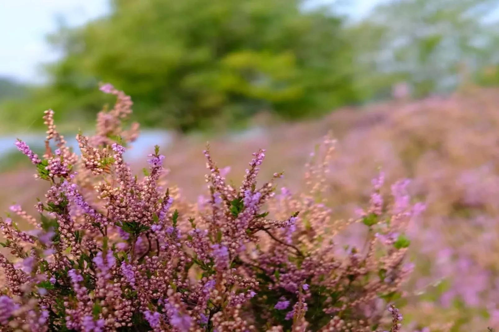 5 persoons vakantie huis in Silkeborg-By Traum