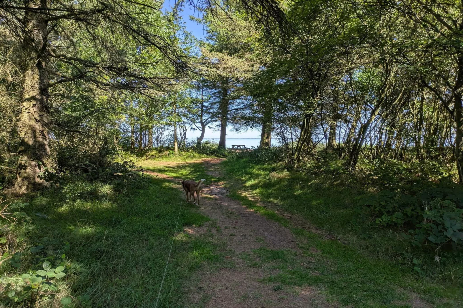 6 persoons vakantie huis in Ulfborg