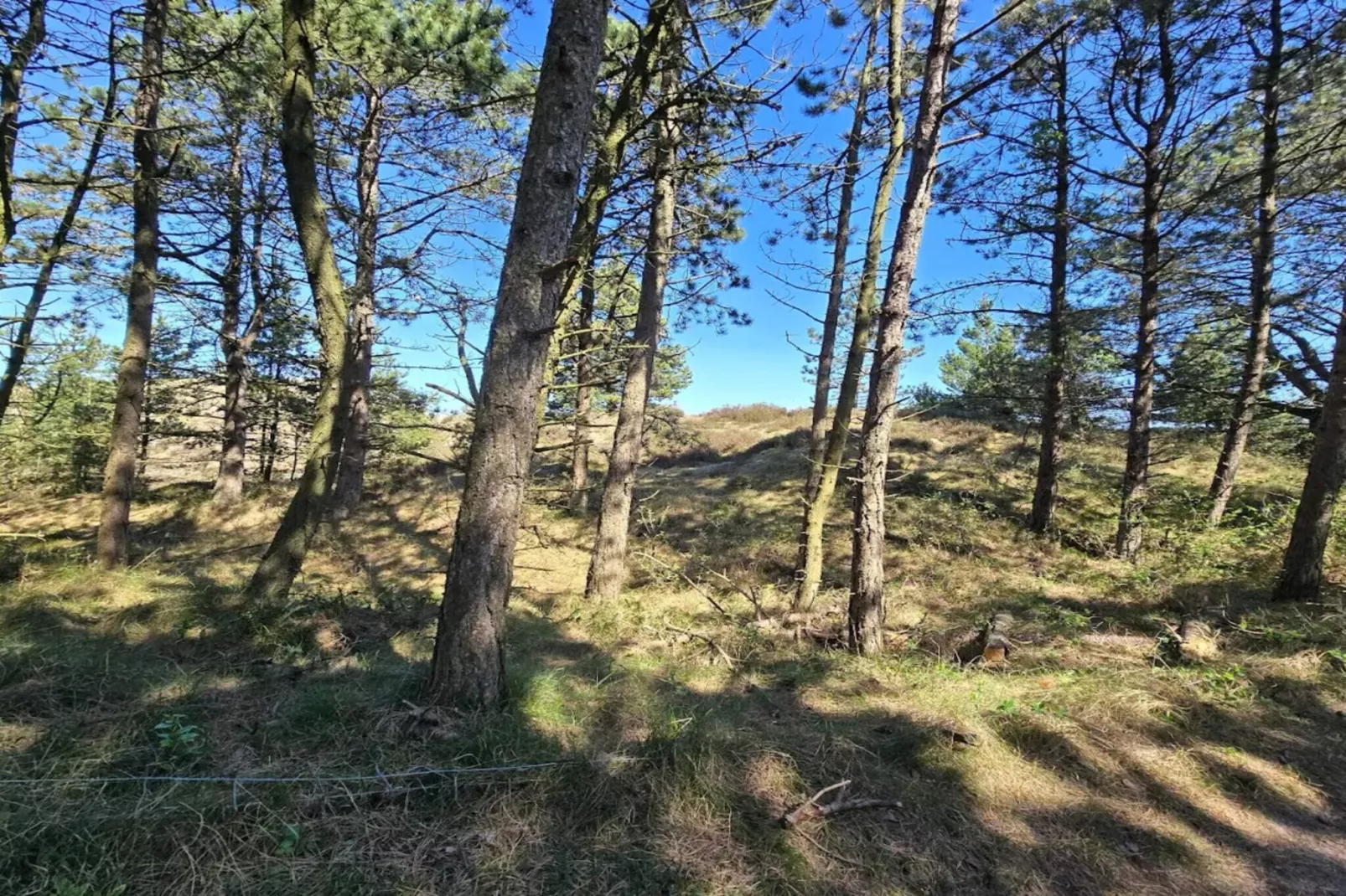 5 persoons vakantie huis in Rømø-By Traum-Niet-getagd