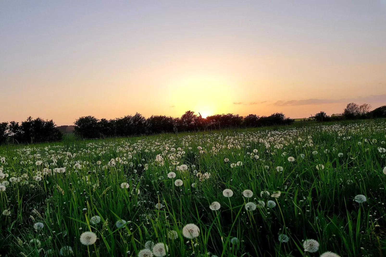 6 persoons vakantie huis in Sydals-By Traum