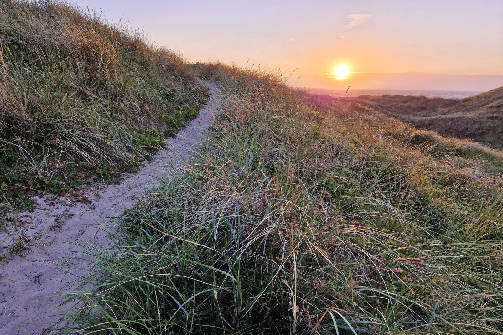 6 persoons vakantie huis in Hirtshals-By Traum