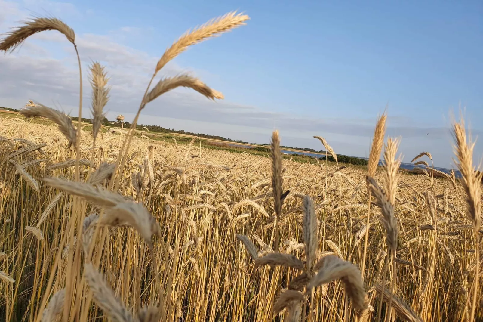 19 persoons vakantie huis in Løgstør-By Traum-Niet-getagd