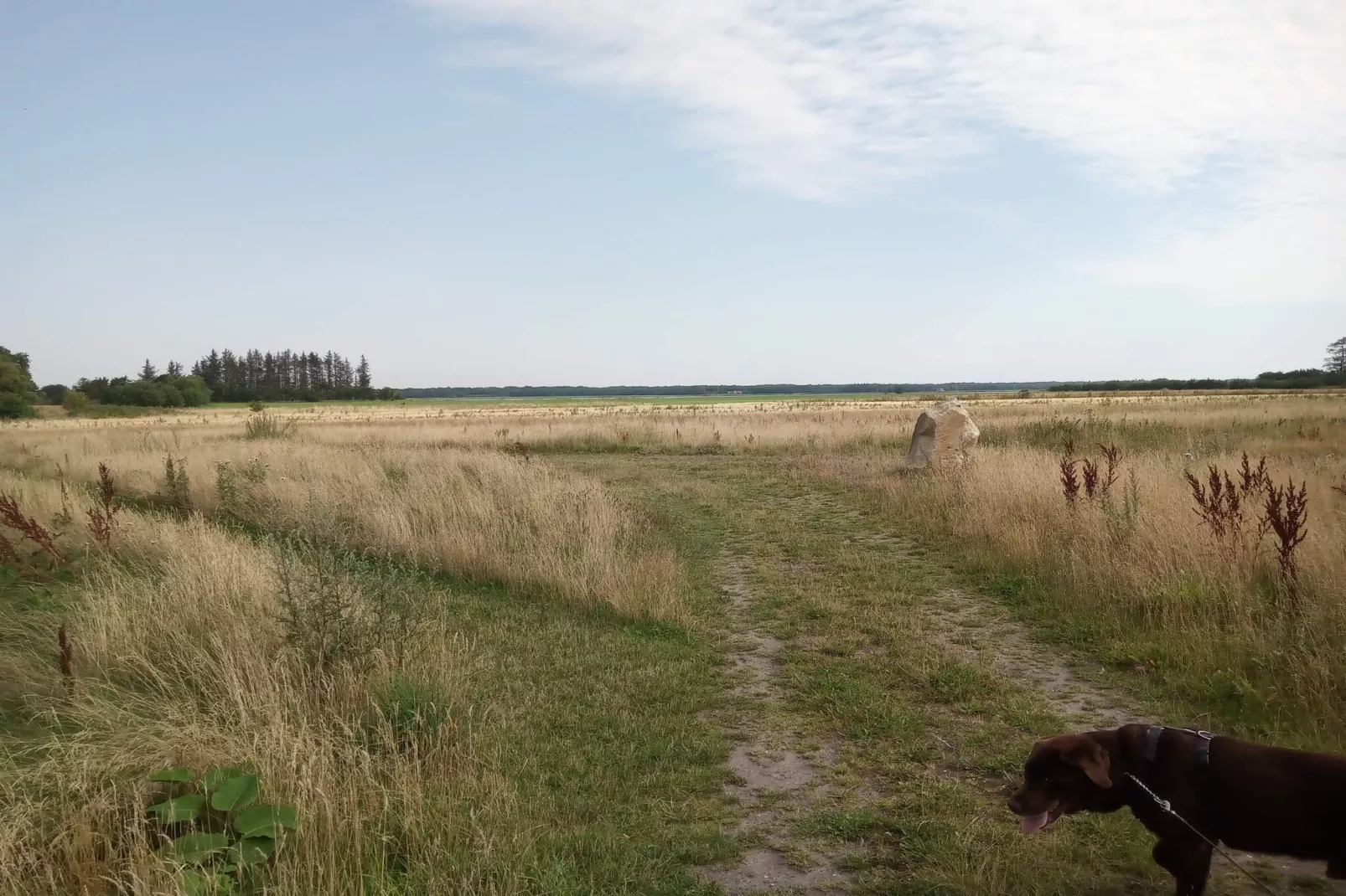 8 persoons vakantie huis in Storvorde-By Traum