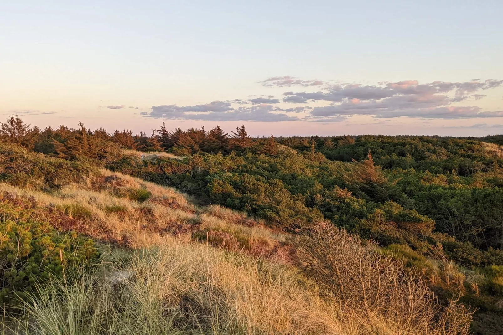 5 persoons vakantie huis in Vejers Strand-By Traum