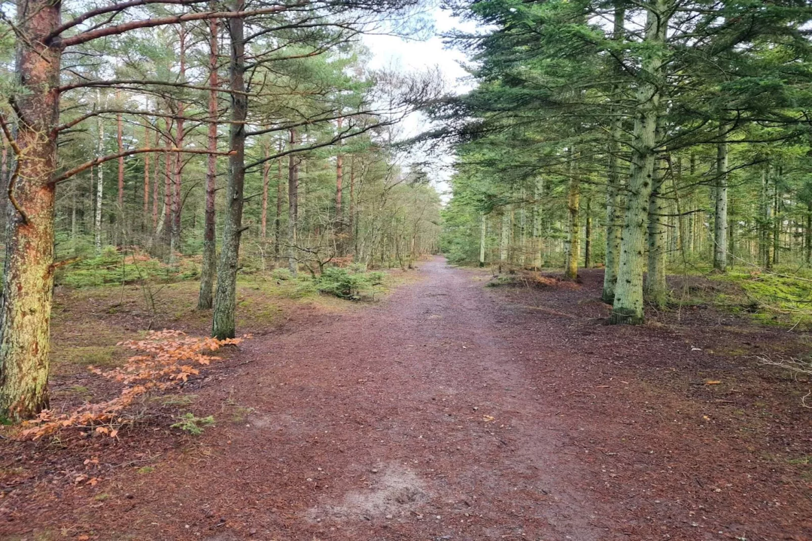 Rustig toevluchtsoord in Rabjerg -- By Traum Ferienwohnungen