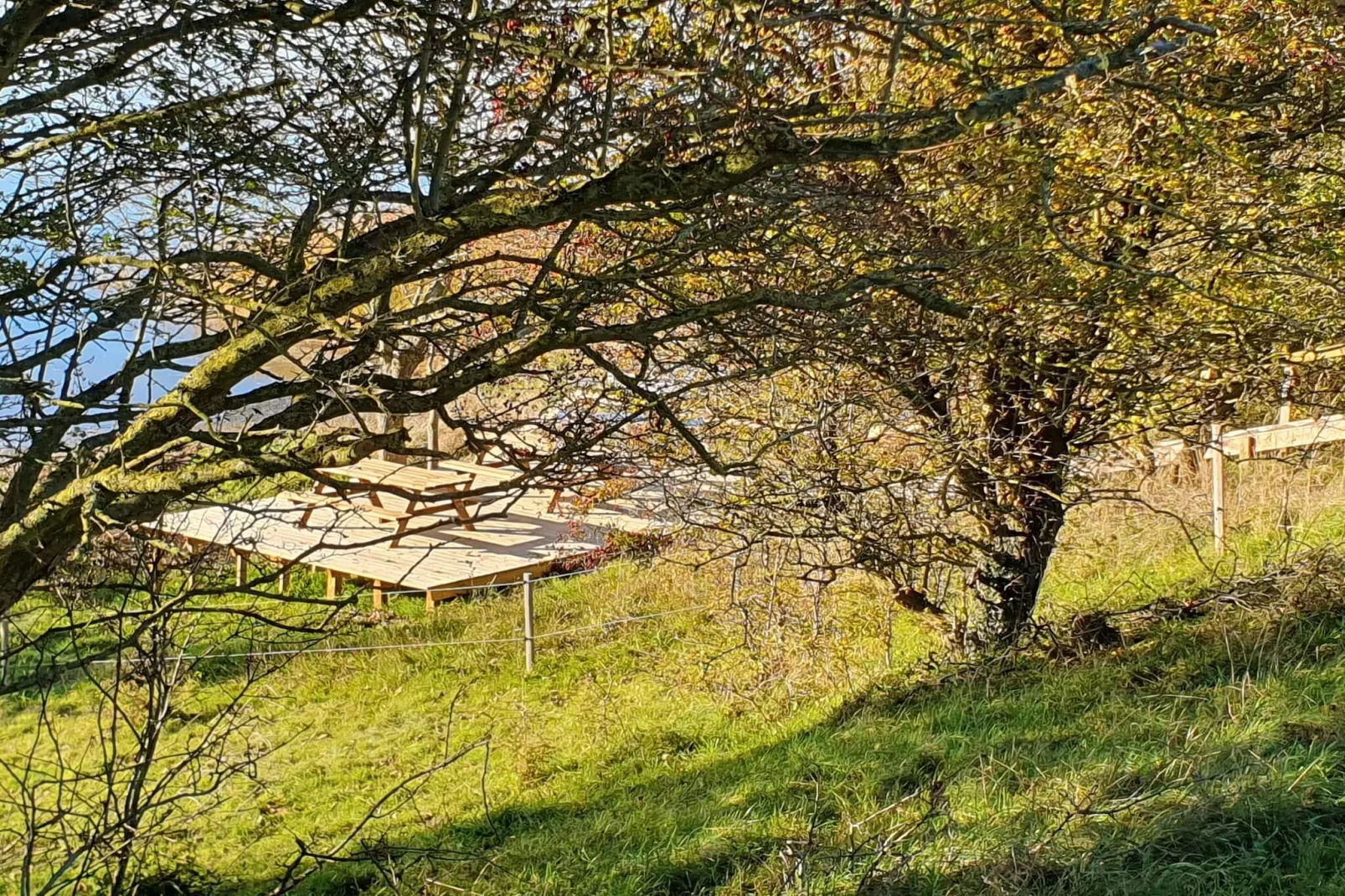 8 persoons vakantie huis in Skals-By Traum-Niet-getagd