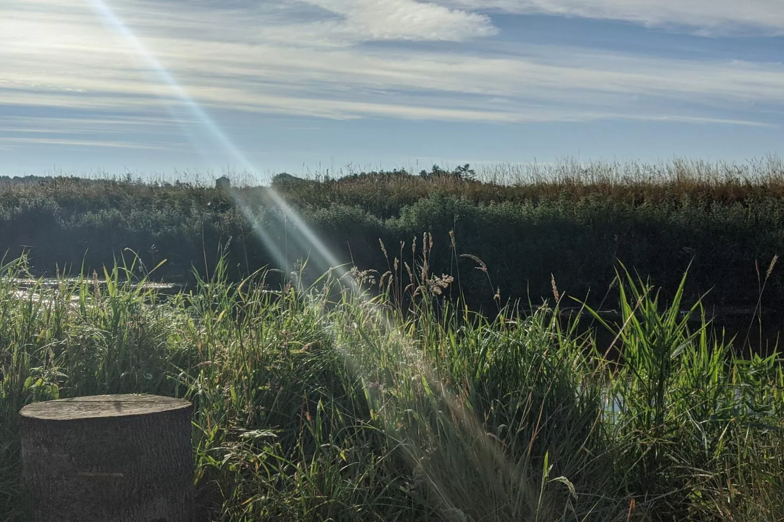 6 persoons vakantie huis in Brædstrup-By Traum-Niet-getagd