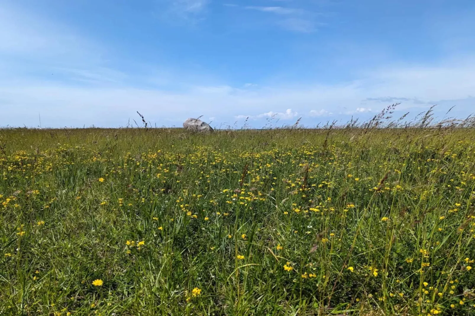 6 persoons vakantie huis in Gedser-By Traum