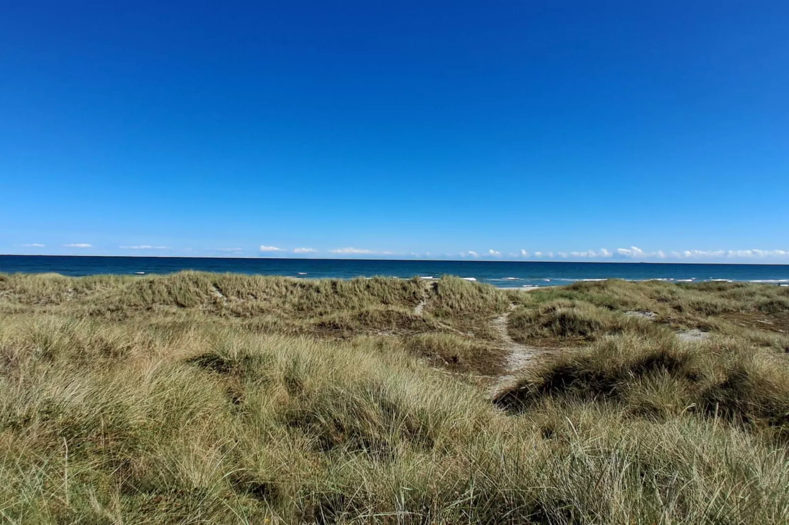 8 persoons vakantie huis in Ålbæk-By Traum-Niet-getagd