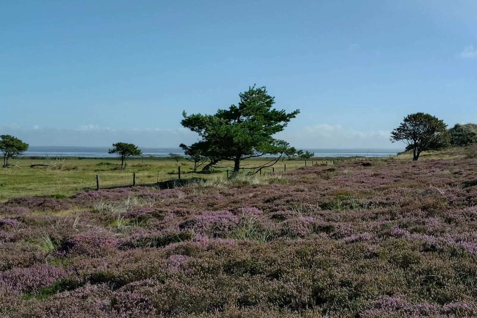 4 persoons vakantie huis in Fanø-By Traum