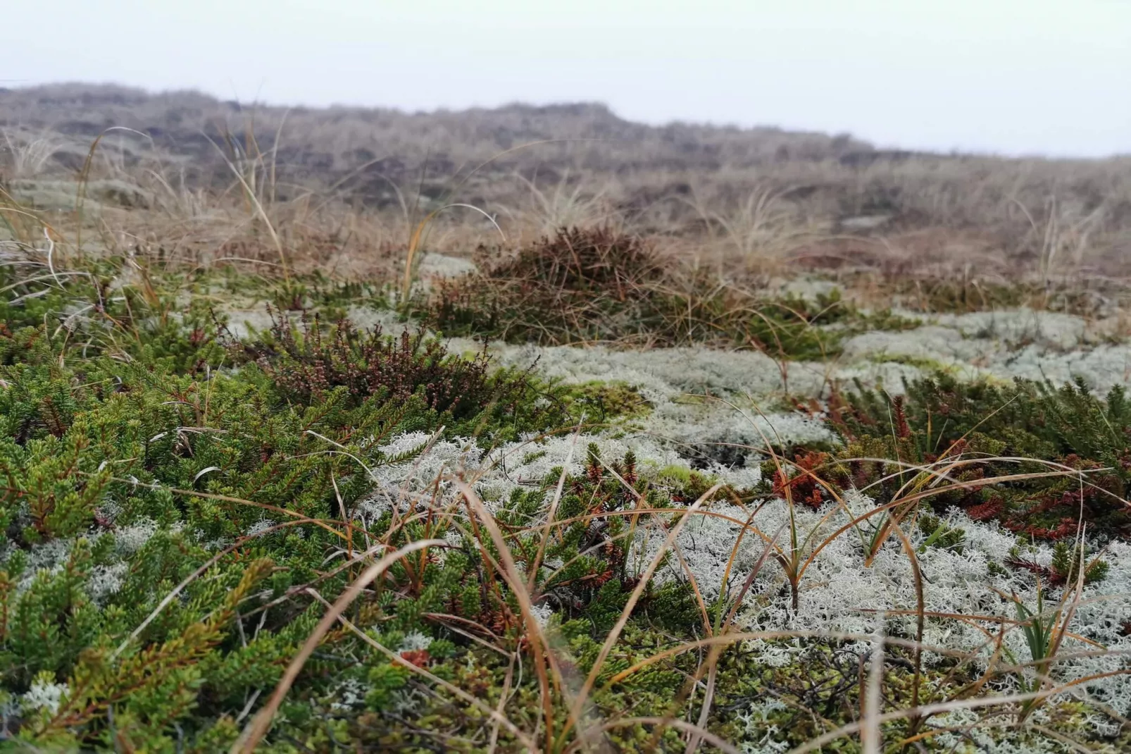 6 persoons vakantie huis in Ringkøbing-By Traum