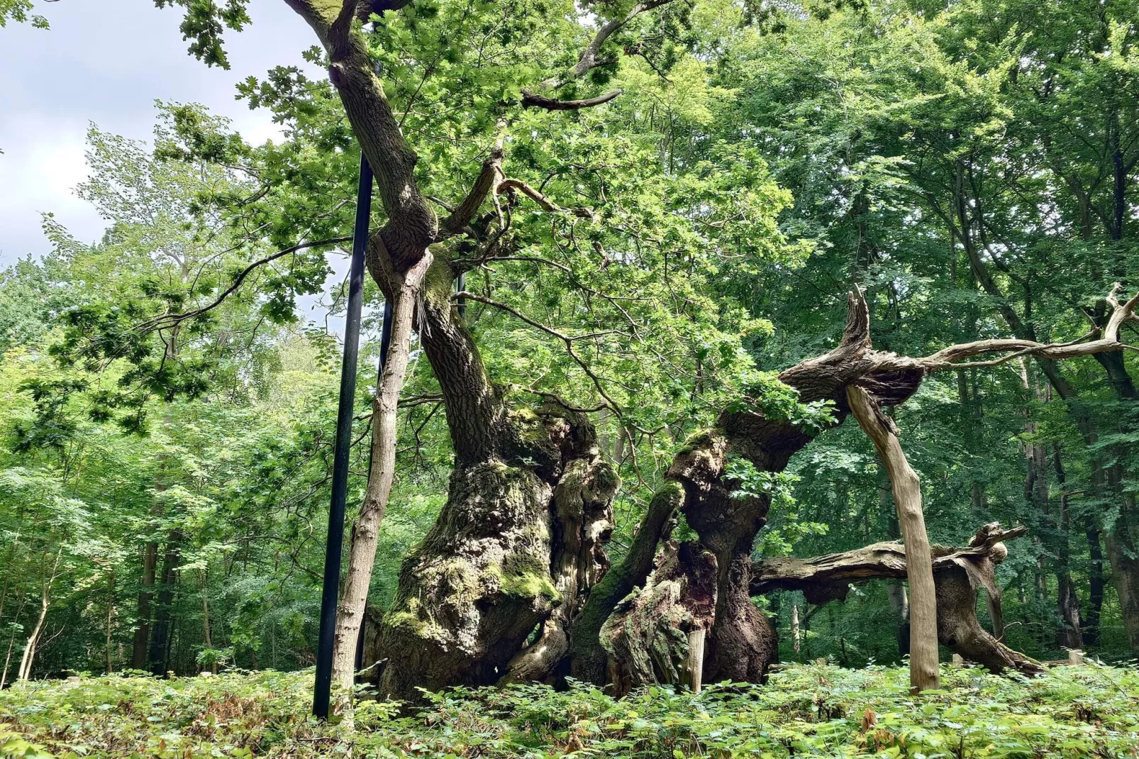 7 persoons vakantie huis in Jægerspris-By Traum