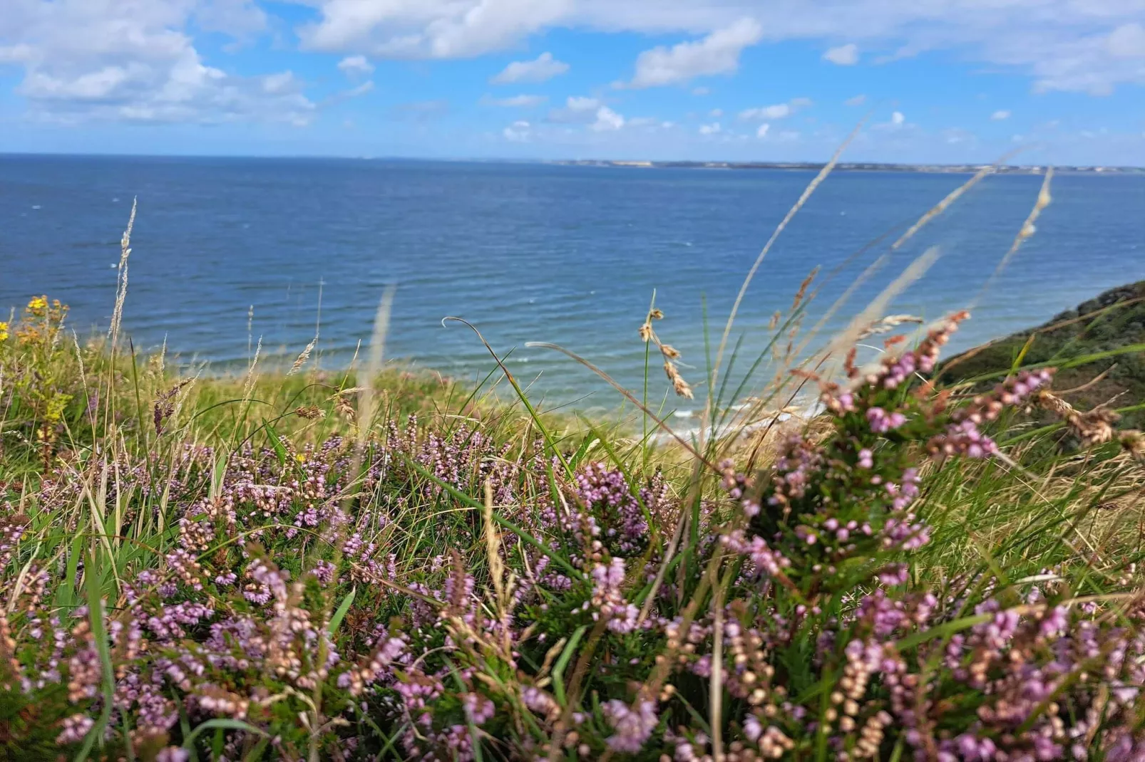 4 persoons vakantie huis in Struer-Niet-getagd