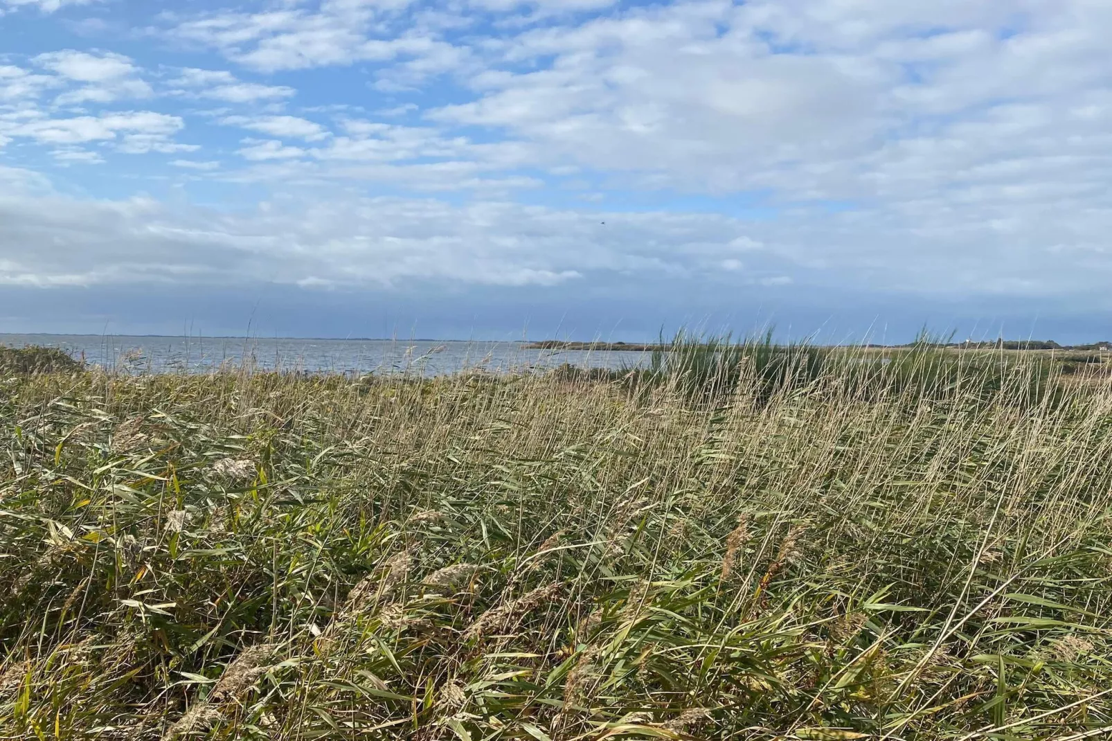 4 persoons vakantie huis in Skjern-By Traum