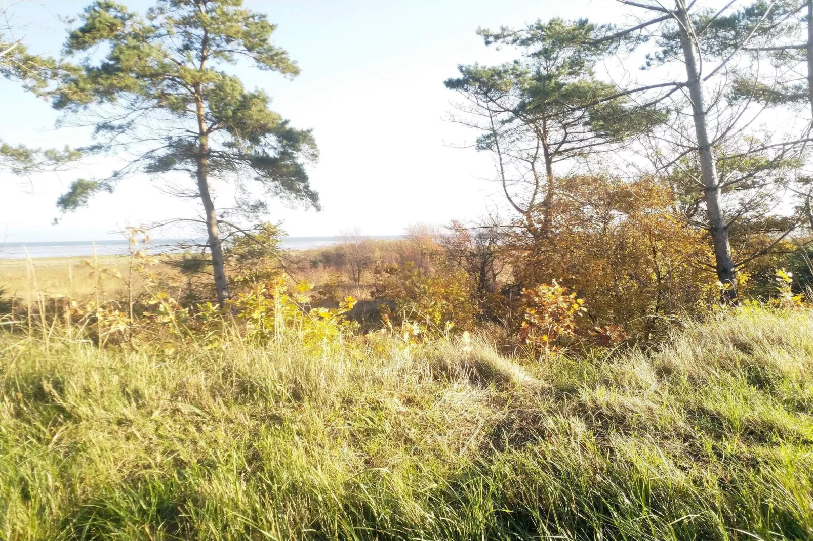 10 persoons vakantie huis in Hadsund-By Traum