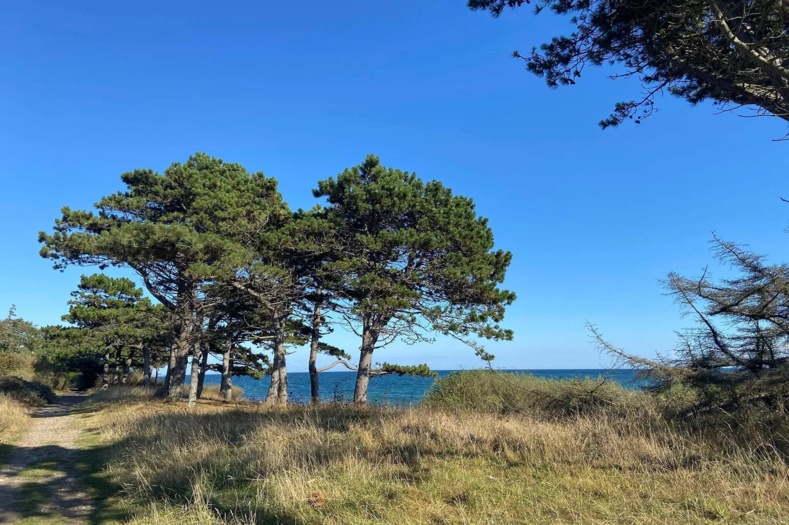 16 persoons vakantie huis in Vejby