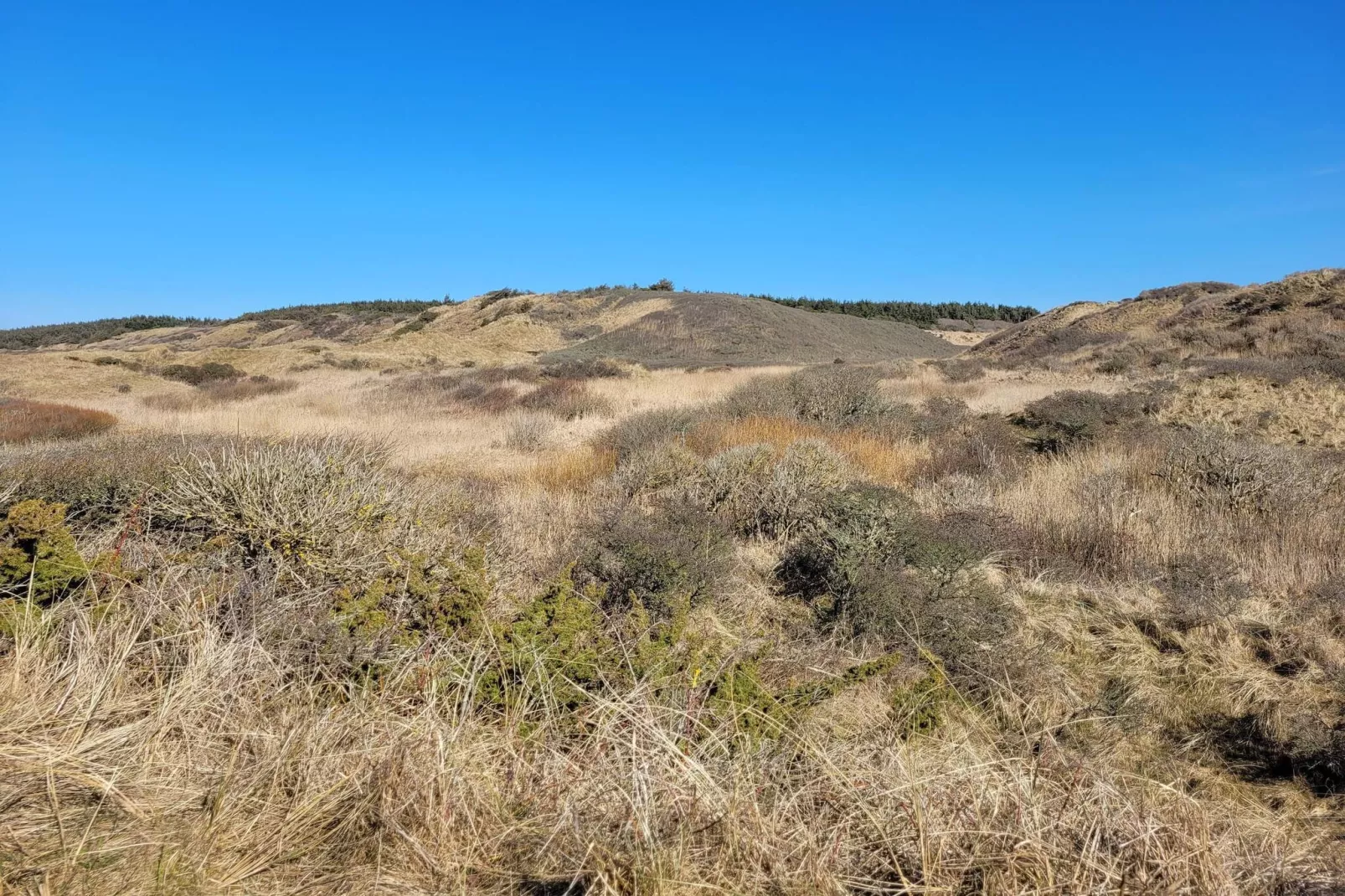 Gezellig strandhuis met uitzicht -- By Traum Ferienwohnungen