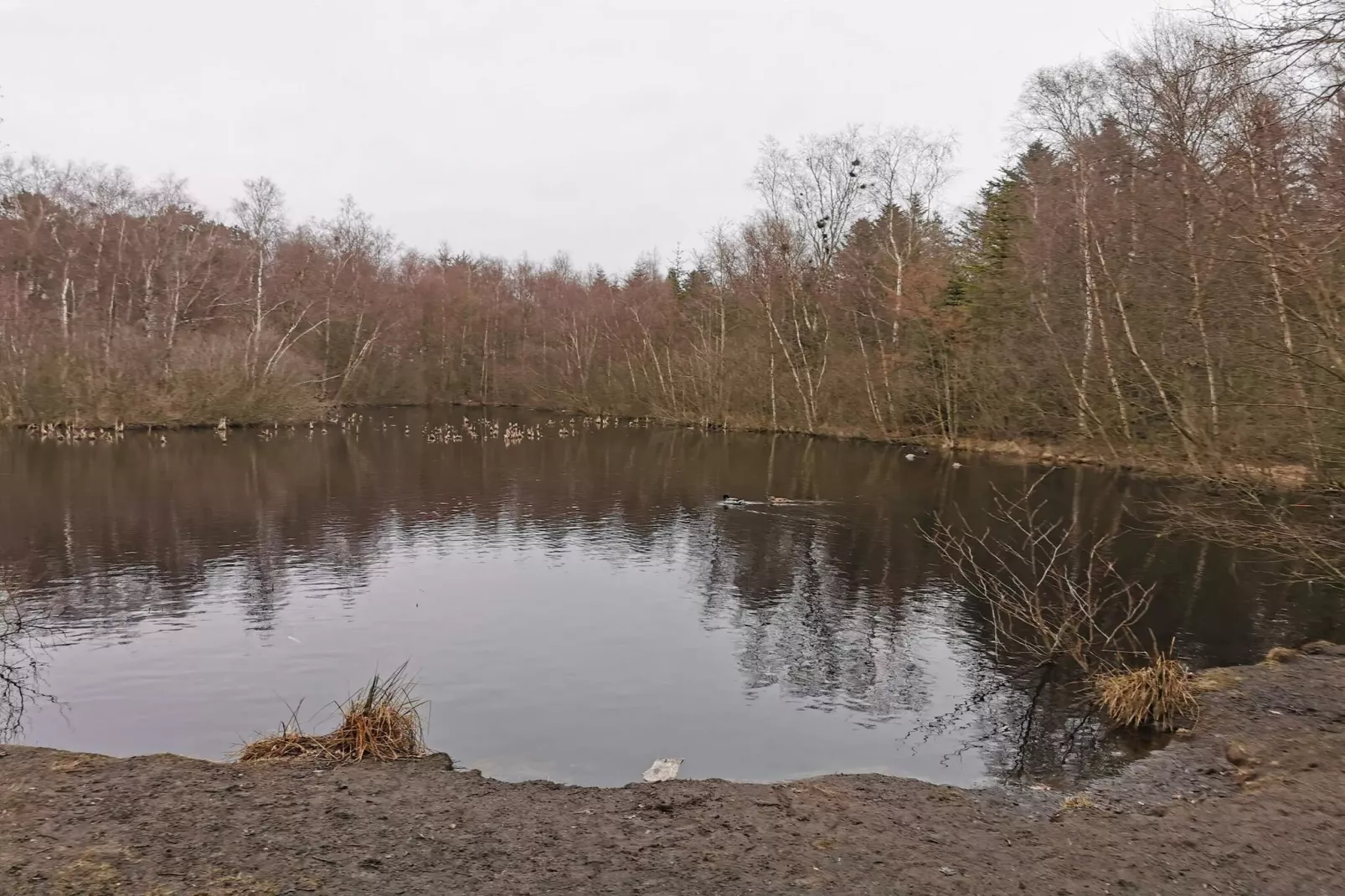 Meerzicht Toevluchtsoord -- By Traum Ferienwohnungen-Waterzicht
