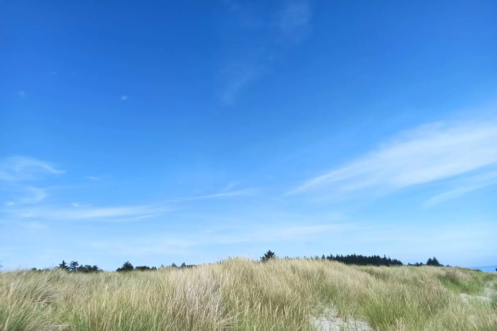 6 persoons vakantie huis in Hals-By Traum-Niet-getagd