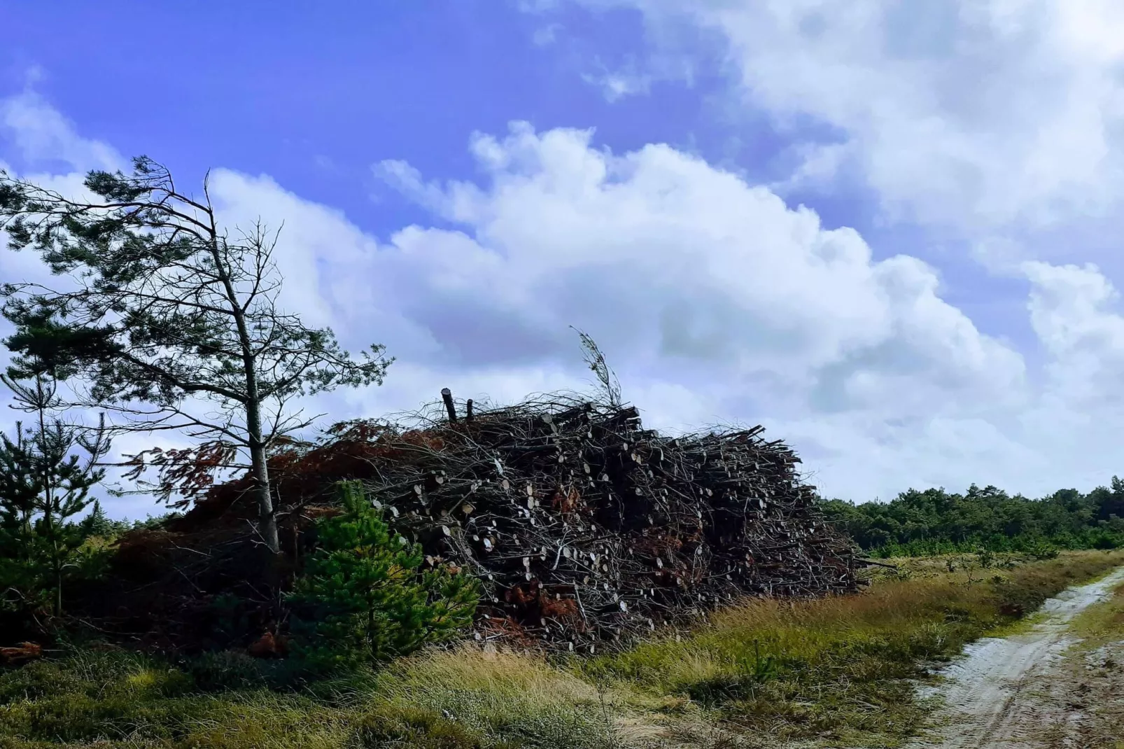 4 persoons vakantie huis in Oksbøl-By Traum