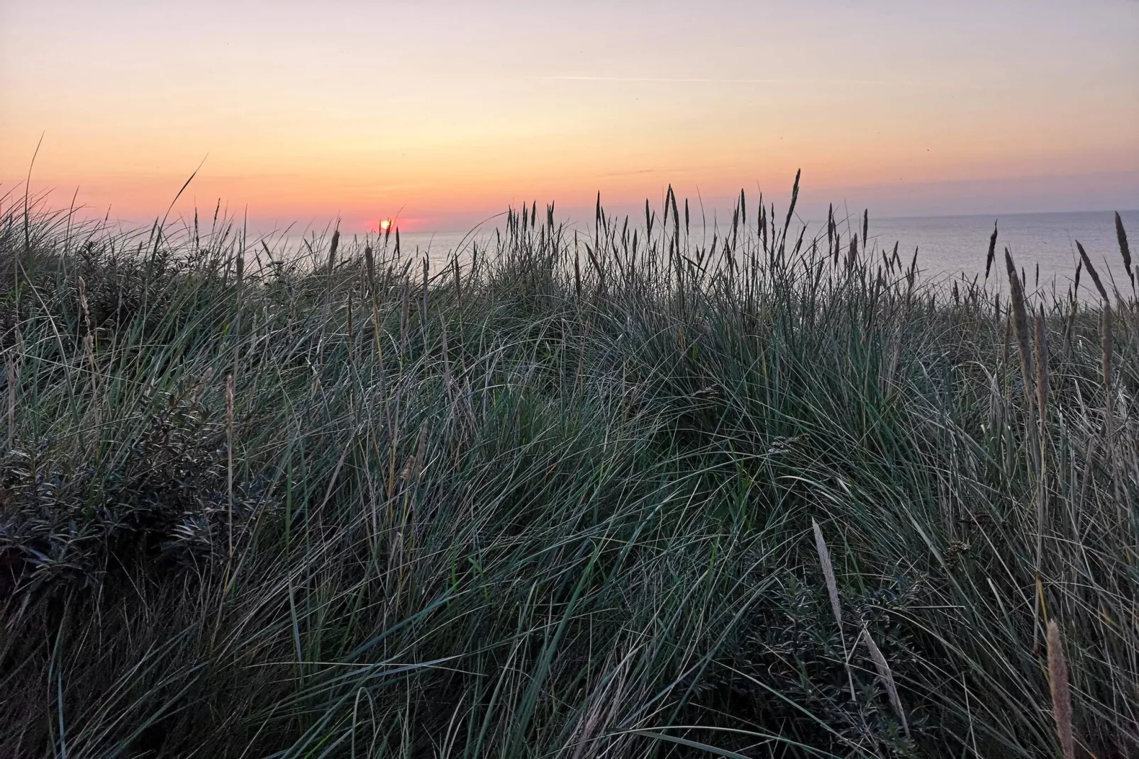 Rustig toevluchtsoord in Toftum -- By Traum Ferienwohnungen