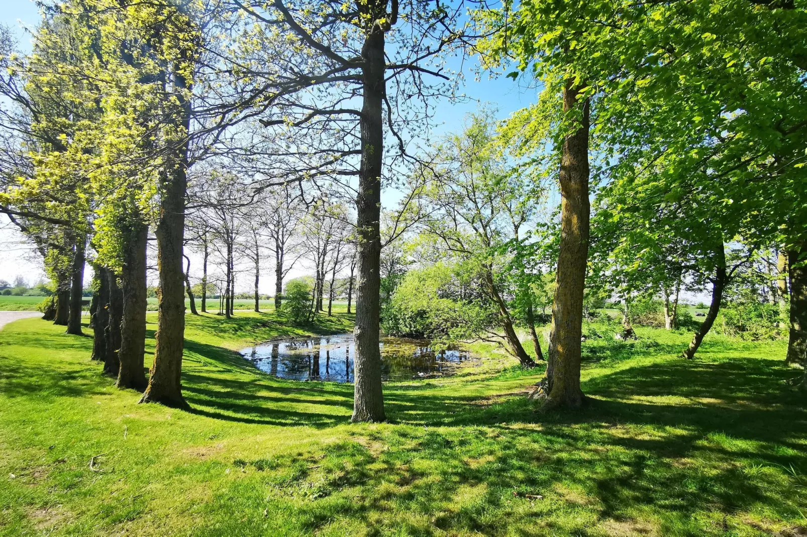Kiebitzweg 12a EG Sonnenuhr-Gebieden zomer 1km