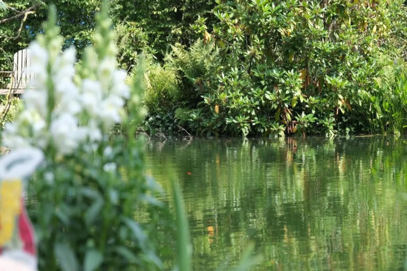 Bospark Markelo 5-Gebieden zomer 20km