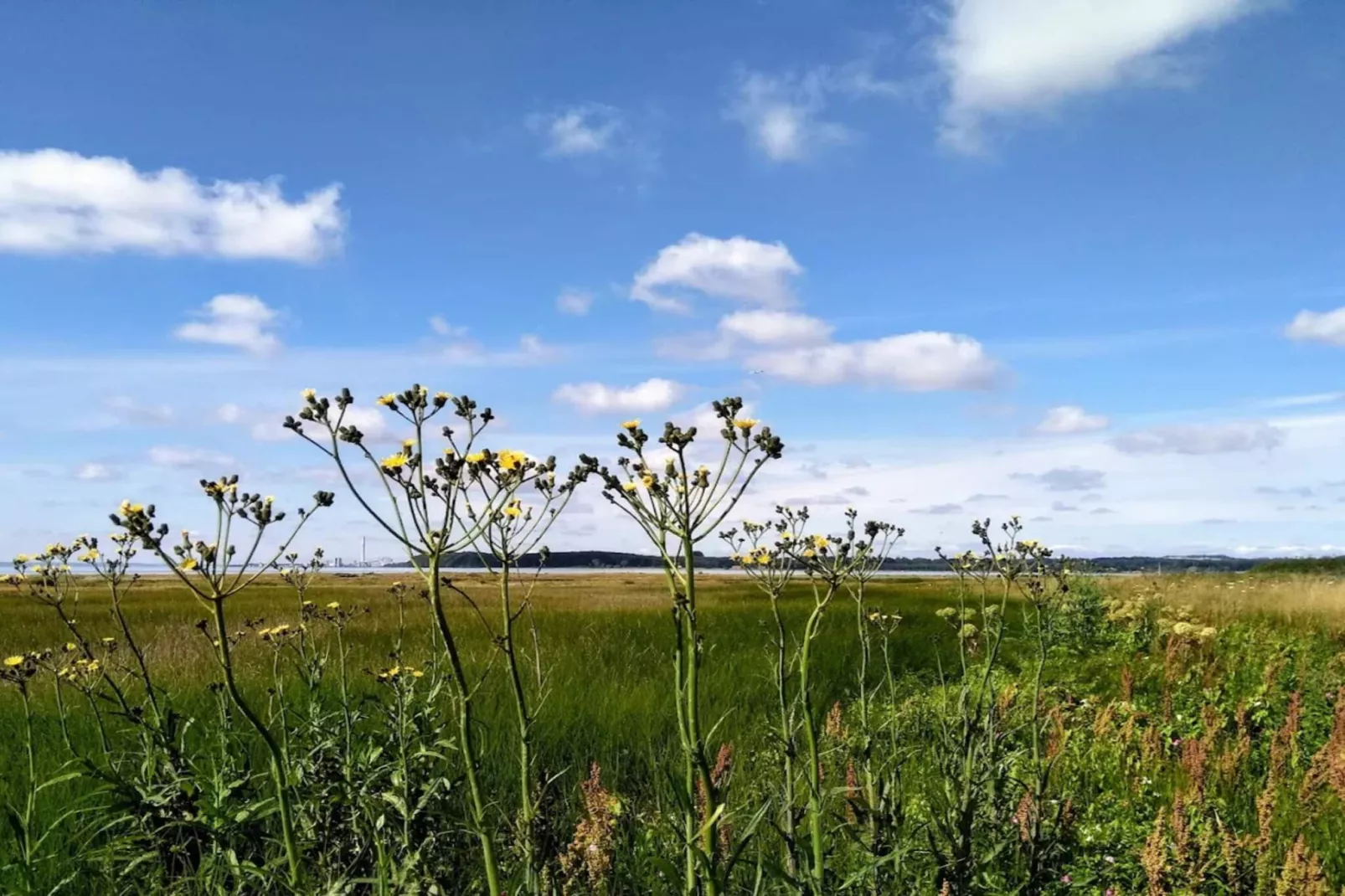 4 persoons vakantie huis in Rønde-By Traum