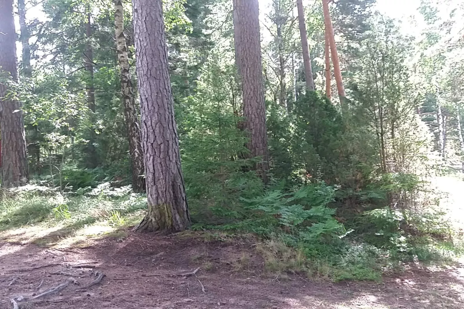 6 persoons vakantie huis in SÄFFLE-By Traum-Niet-getagd