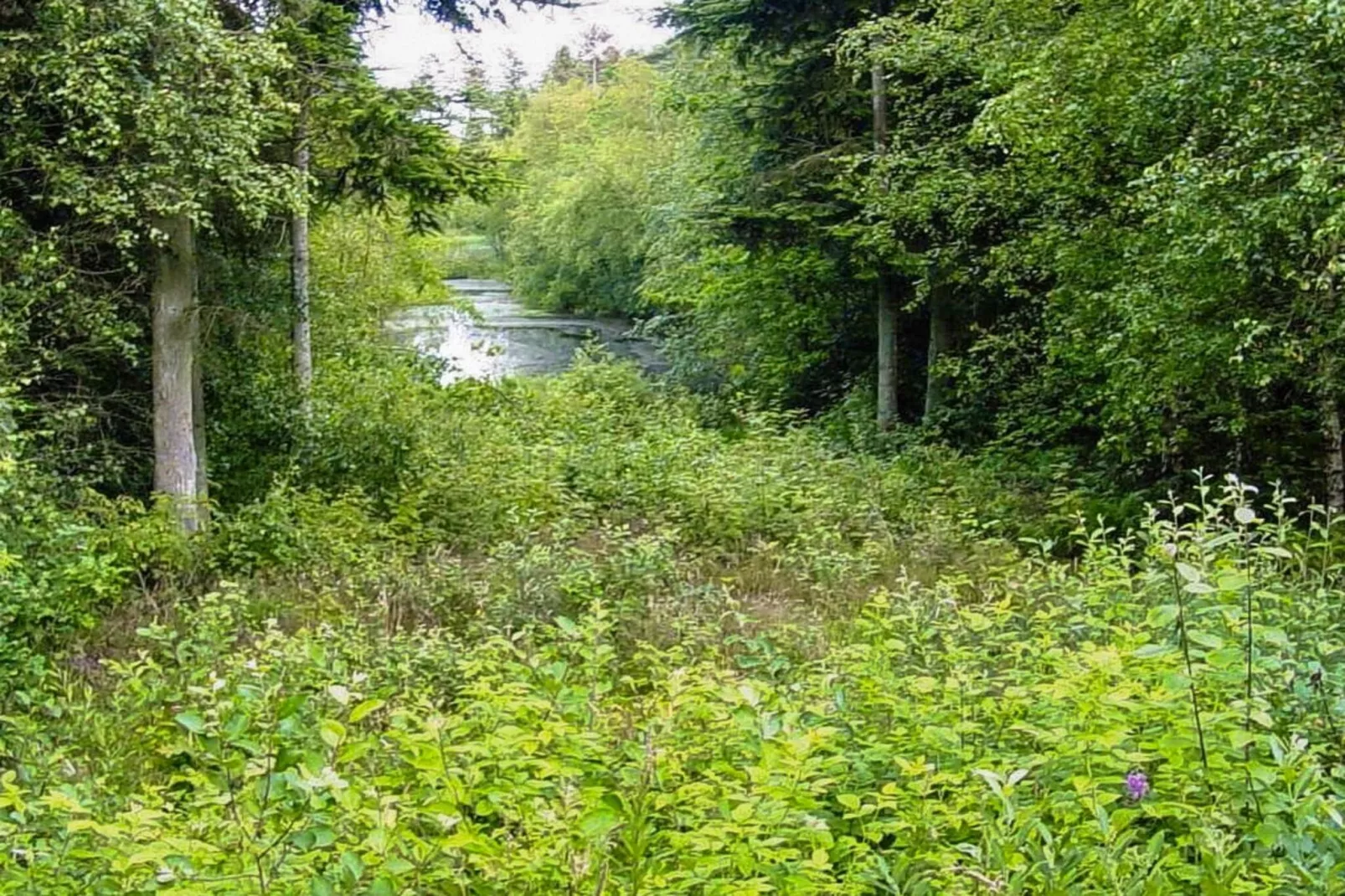 4 persoons vakantie huis in Aars-By Traum-Niet-getagd