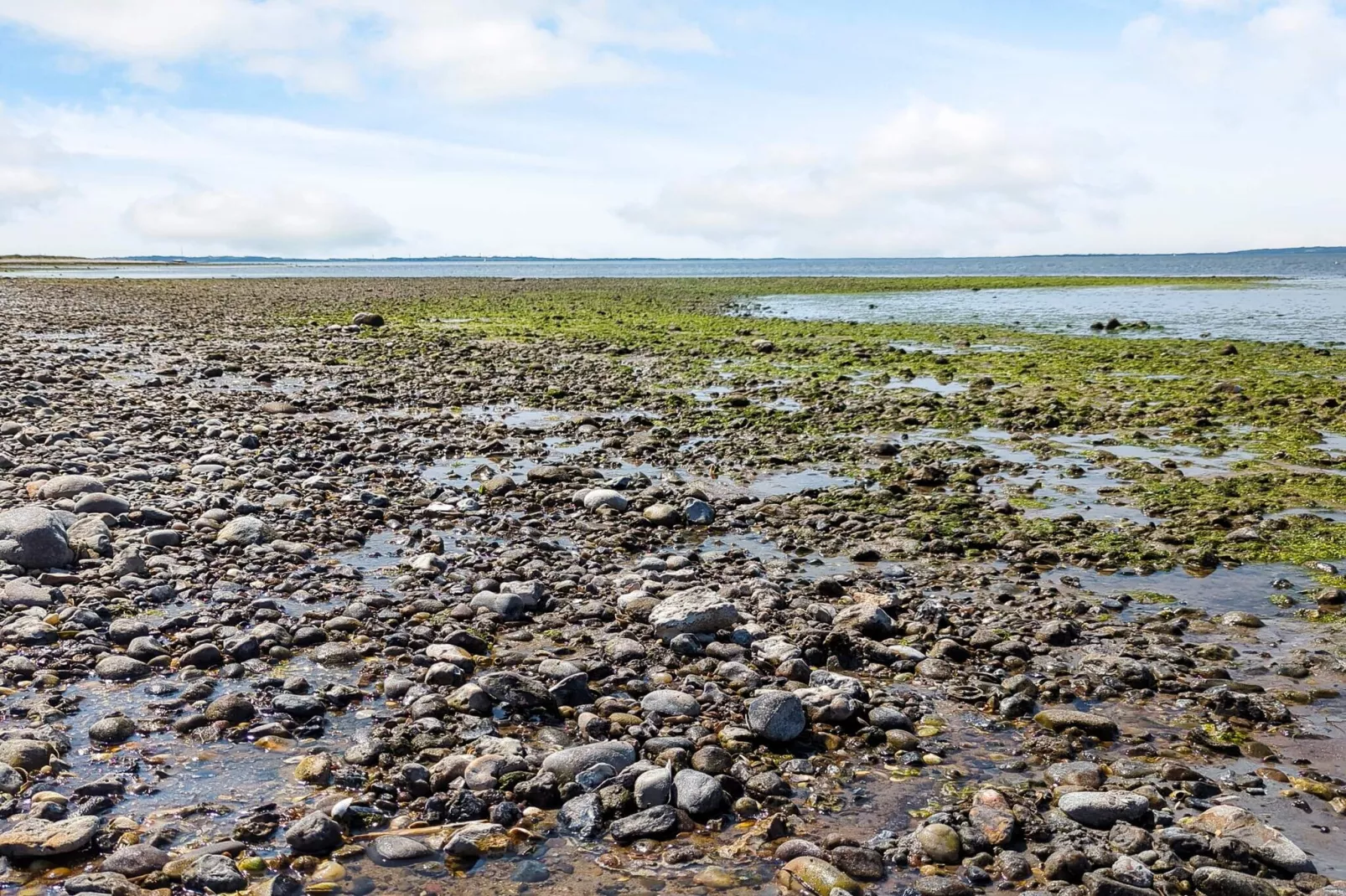 7 persoons vakantie huis in Løgstør-By Traum