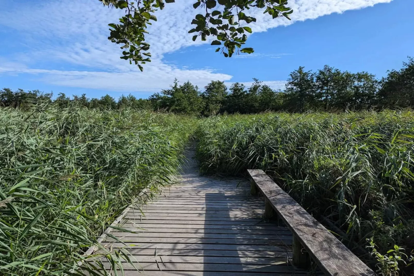 4 persoons vakantie huis in Frederiksværk-By Traum