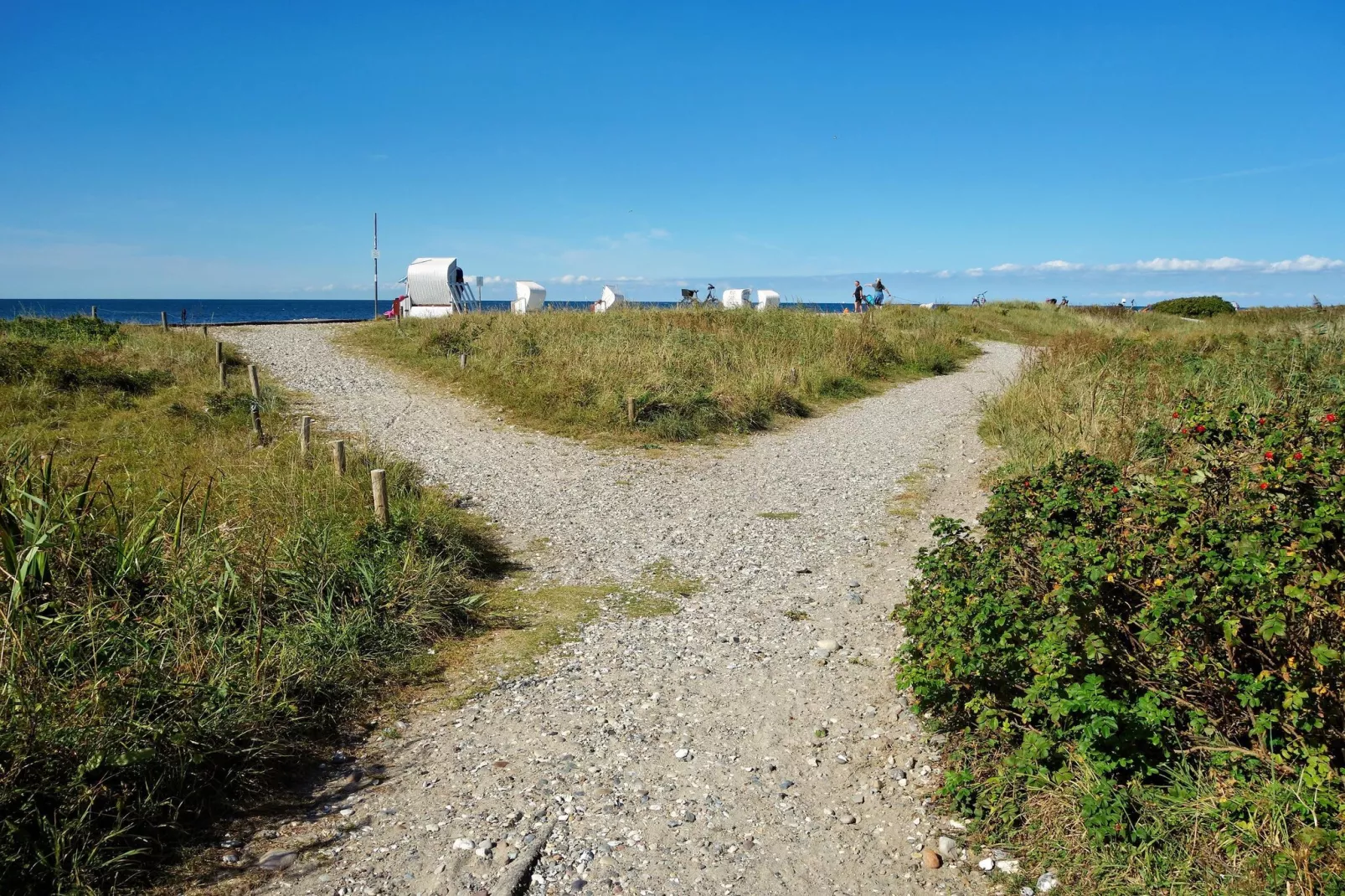 Bojendorf FehAmore 4 P-Gebieden zomer 1km