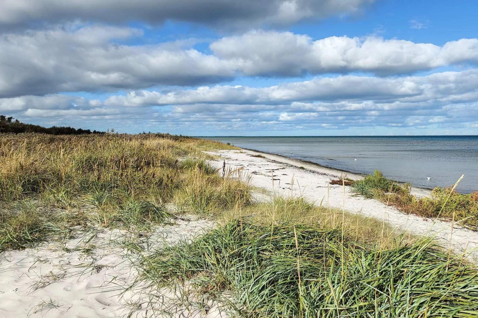 12 persoons vakantie huis in Hadsund-By Traum