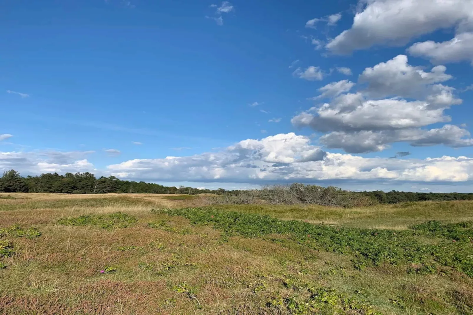 5 persoons vakantie huis in Vejby-By Traum